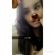 Coralie.malka