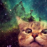 SpaceCat