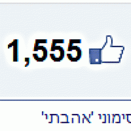 מאיקי 22