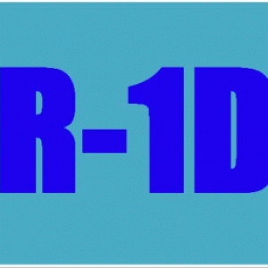 RIKO-ONE DIRECTION